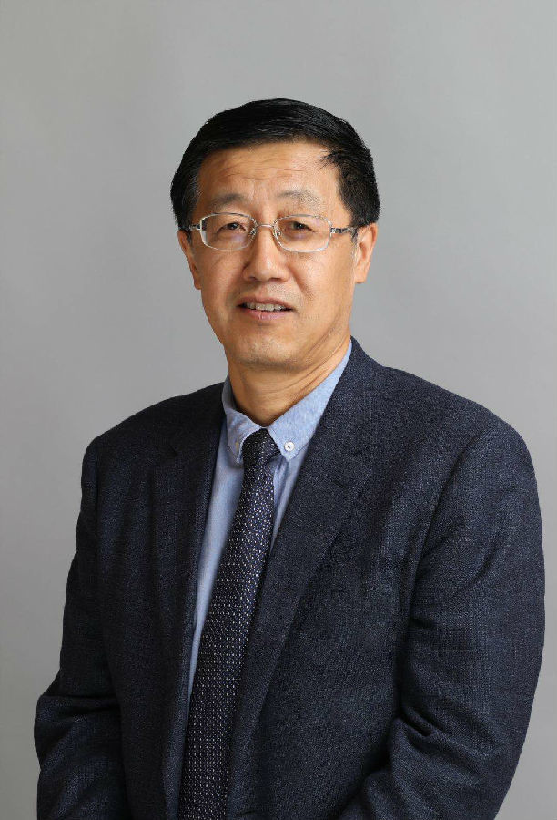 金年会官方体育登录入口武钢：“后疫情时代”的可再生能源转型之路